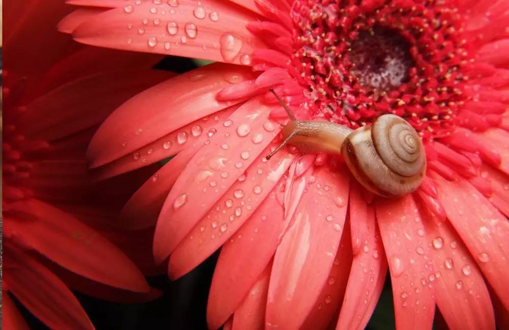 小米与徕卡合作后价格会更贵吗,小米手机正式宣布与徕卡合作