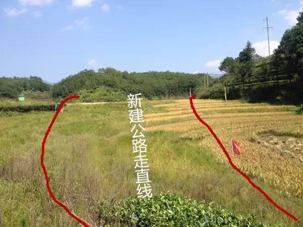 霞浦东海一号公路路线图最新,霞浦县柏洋乡联七线