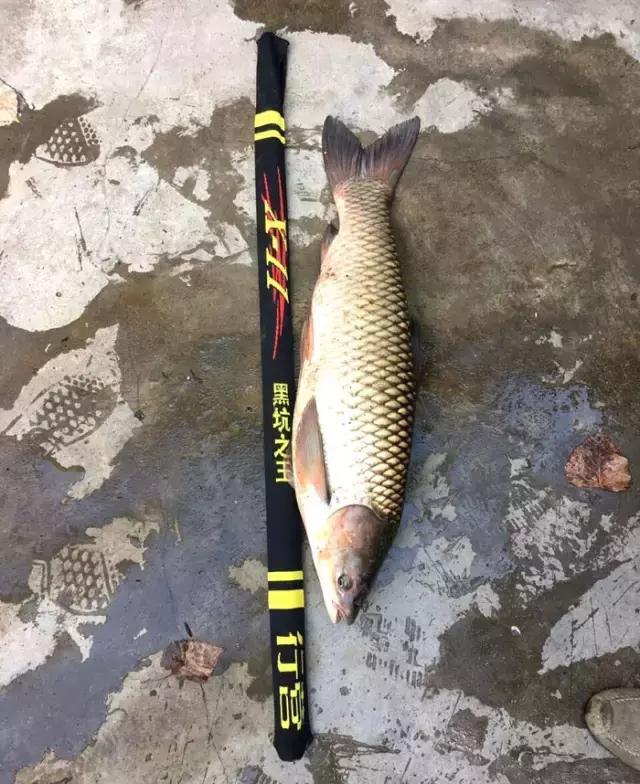 娓旇幏鎴樻姤,澶滈挀娓旇幏鎴樻姤