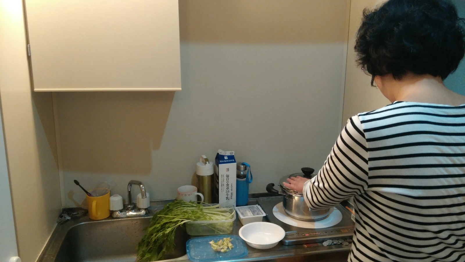 日本自由行旅游攻略三日游,日本自由行游记大全