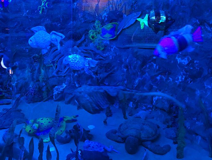 泰迪熊博物馆韩国购物,泰迪熊博物馆韩国图