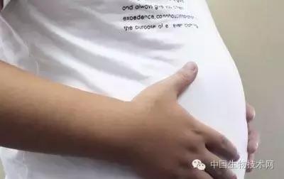 干面包怎么变松,干面包弄碎怎么处理