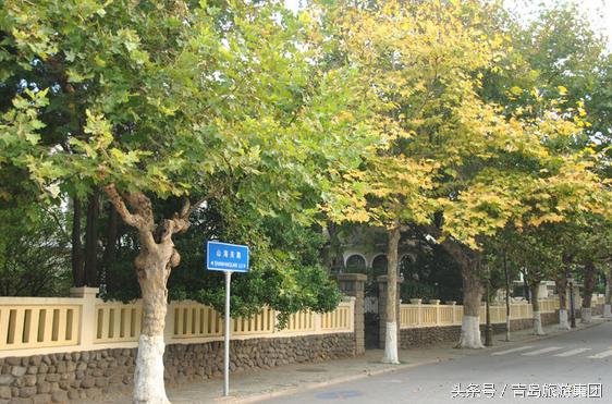 秋天来了我和爷爷奶奶逛公园,秋天八大关