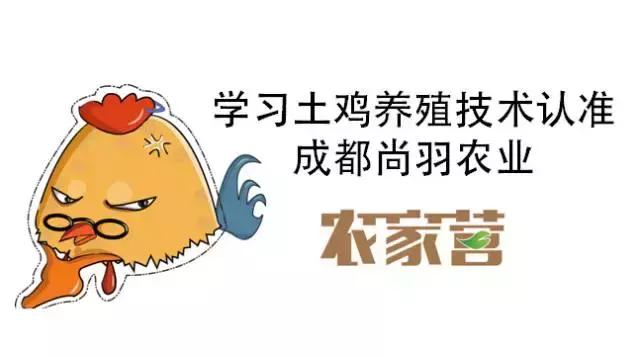 种养结合养鸡场,种养结合养鸡模式是什么