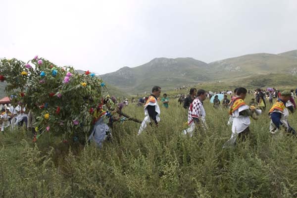 贵州人怎么称呼爸爸,贵阳人怎么称呼爷爷的上一辈