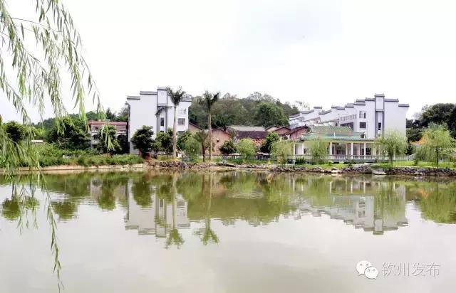 钦州市党代会报告,钦州市召开第六次党代会