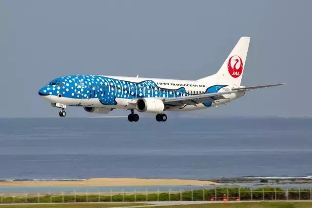 全日空哆啦a梦彩绘机,日本推出哆啦a梦客机