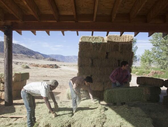 深泉学院的真实面目,留学趣闻