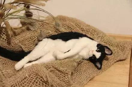 在日本买到假货,日本假货最新处理方法