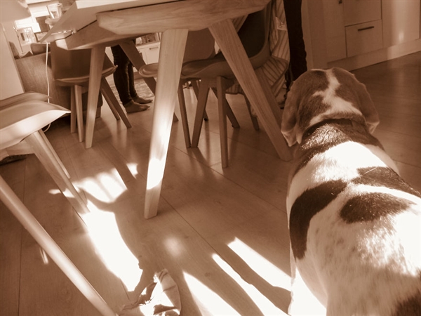 摄影师2岁宝宝拍照,最小年纪摄影师