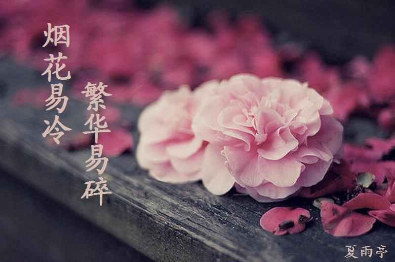 繁华易逝烟花易冷,繁华易散烟花冷