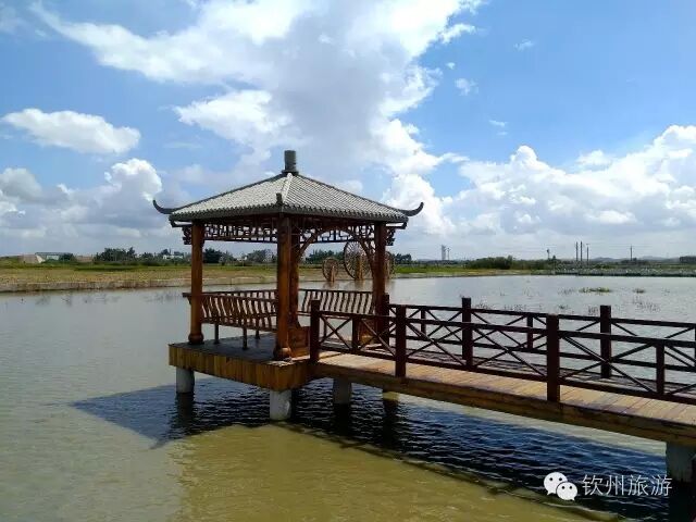 钦州周末出游攻略,钦州乡村旅游攻略