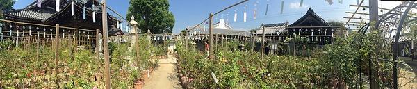 你看起来很好吃日本治愈系,你看起来很好吃日本原版中文