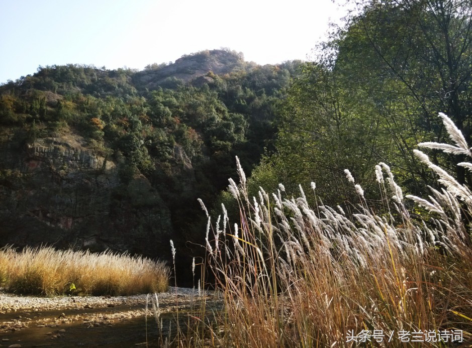 关于秋虫的古诗词,古诗词中含有秋的诗句有哪些