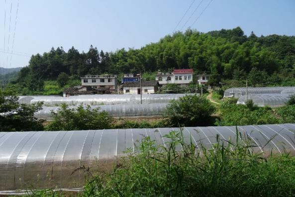 大别山中大金寨，这23个乡镇貌美如花，十一你不来？