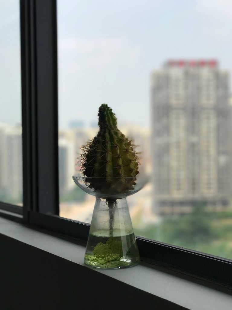 iphone7plus详细评测,苹果7plus测评还值得购买吗