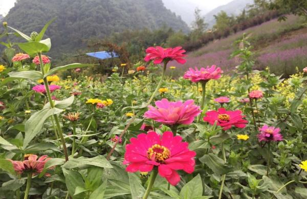 成都国庆悠闲一点到绵竹九龙吧!邻家女孩的感觉!