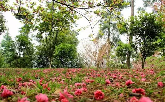 贵阳中秋节带家人一起去哪里玩,重阳节最好玩的地方