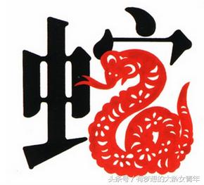 1977属蛇的命,属蛇今日宜打牌吗