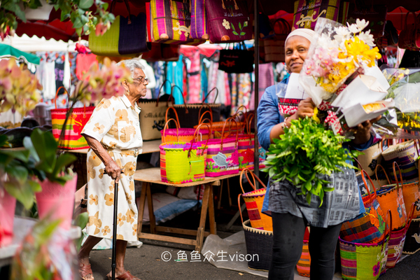 揭秘金银岛宝藏之谜,金银岛神秘之谜