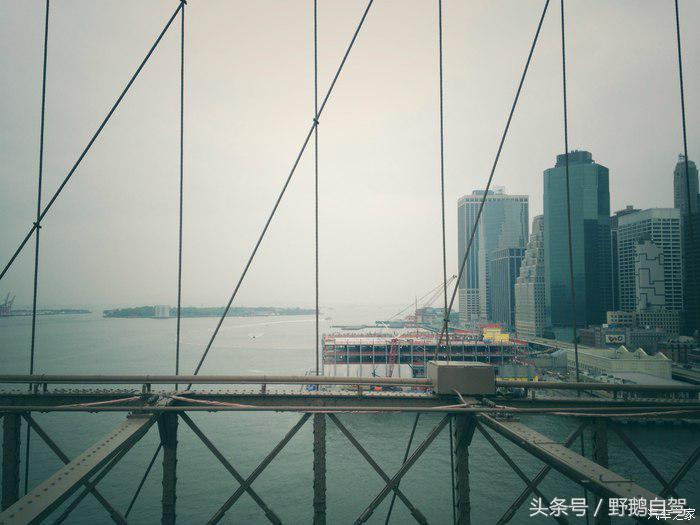 野鹅旅行,野鹅自驾无人区