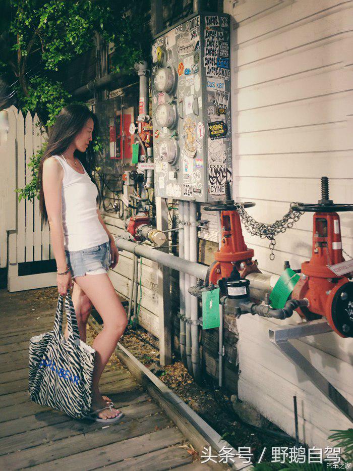 野鹅旅行,野鹅自驾无人区