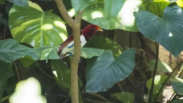 朋友圈发海边泳衣照好不好,朋友圈晒沙滩泳装