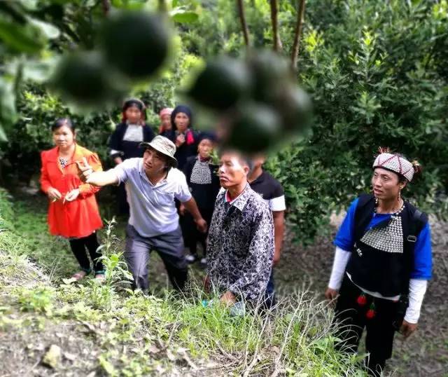 元江的特色美食有哪些 (元江美食干货)