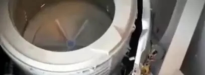 每日晨读国庆节,晨读英语美文新年快乐