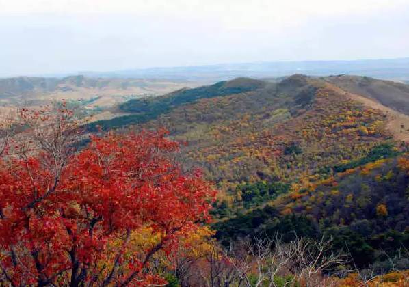 沈阳秋季哪好玩,秋天沈阳市区风景最好的地方