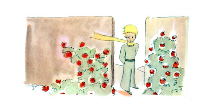 小王子最深度解读,小王子深度解析