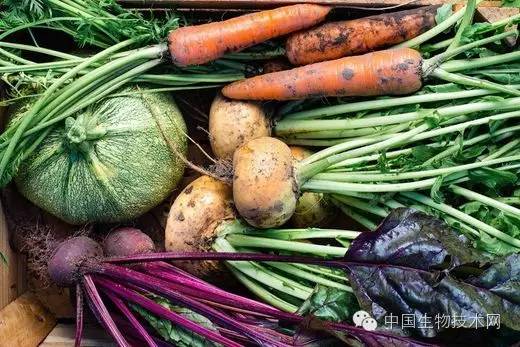 补充维生素能改善不良饮食状况吗？