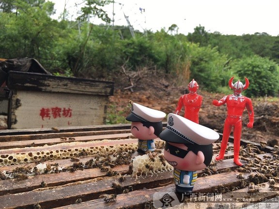 柳州摄影俱乐部,柳州红豆摄影工作室