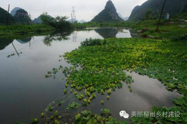 广西国庆柳州旅游攻略,柳州百里柳江哪里的风景最好