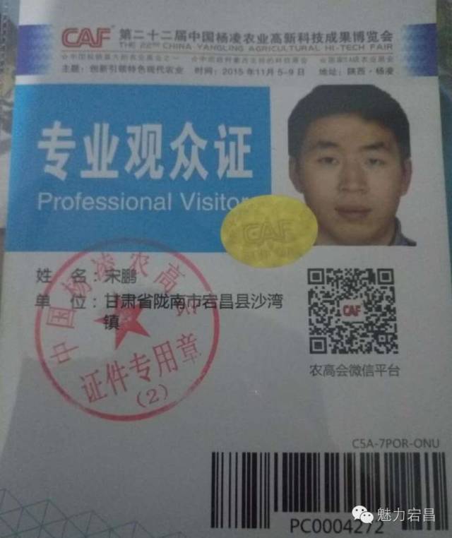 电商扶贫电商村打造,农村电商陇南成县资源整合