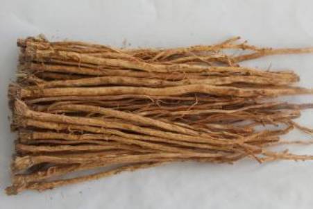 防风野生中药功效,防风功效中药药方