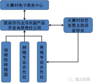 电商扶贫电商村打造,农村电商陇南成县资源整合