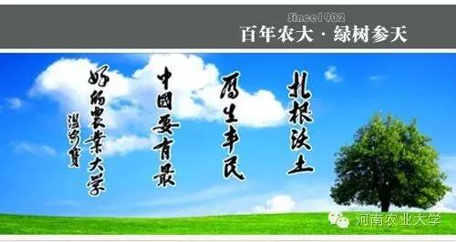 特别策划三分钟过后，农大小石榴马上开挂成老鸟！