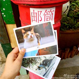 南锣鼓巷就是一条巷吗,南锣鼓巷的特别之处