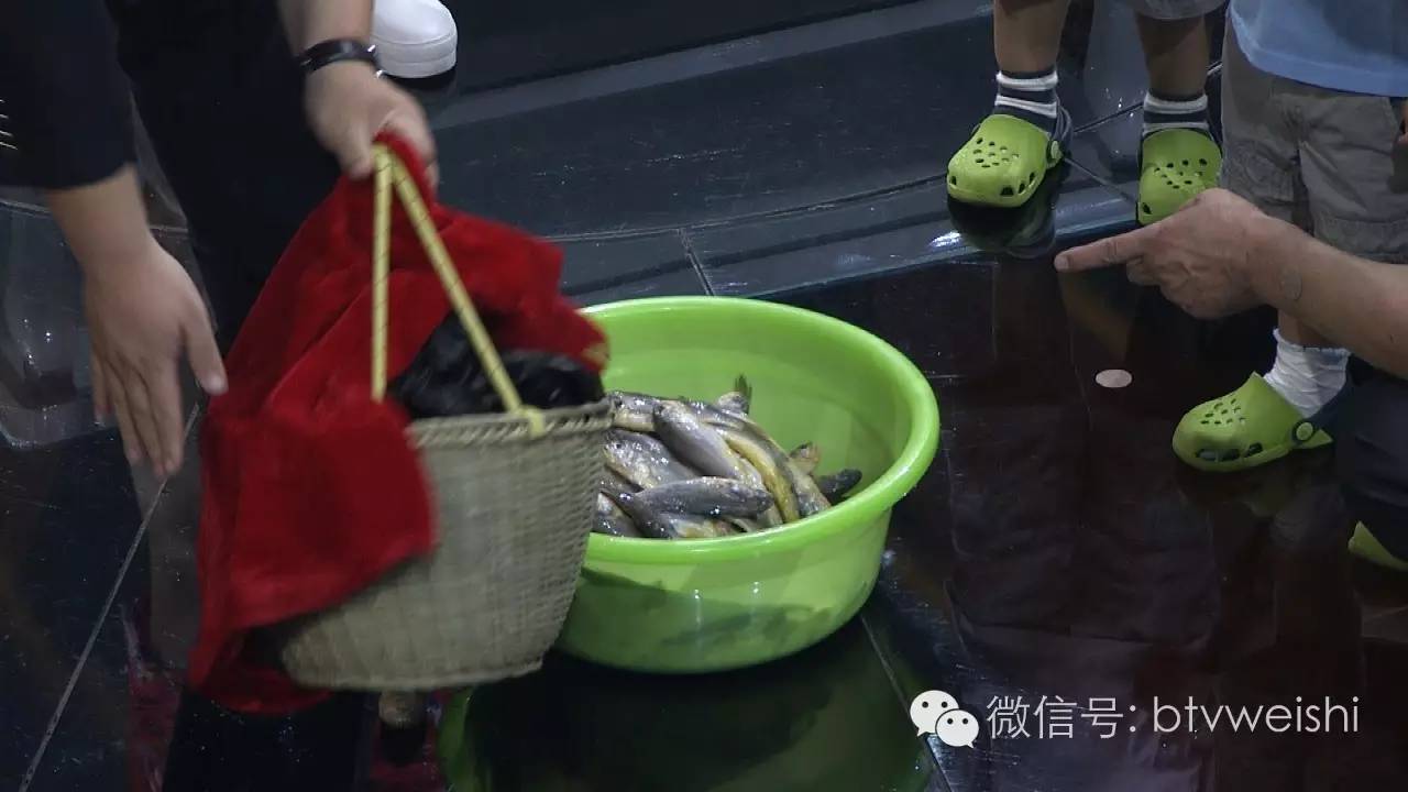 谷世喆养生堂视频,养生堂谷世喆五十肩