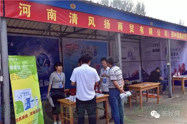 河南养猪业巨头,河南养猪身价百倍