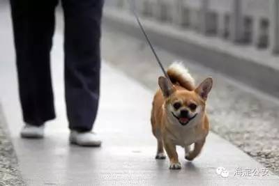 薇姿的正确使用方法,薇姿正确使用方法