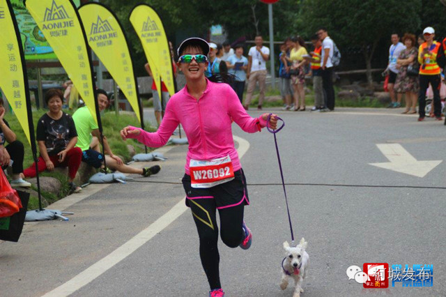荆溪围棋谷,荆溪花海美景