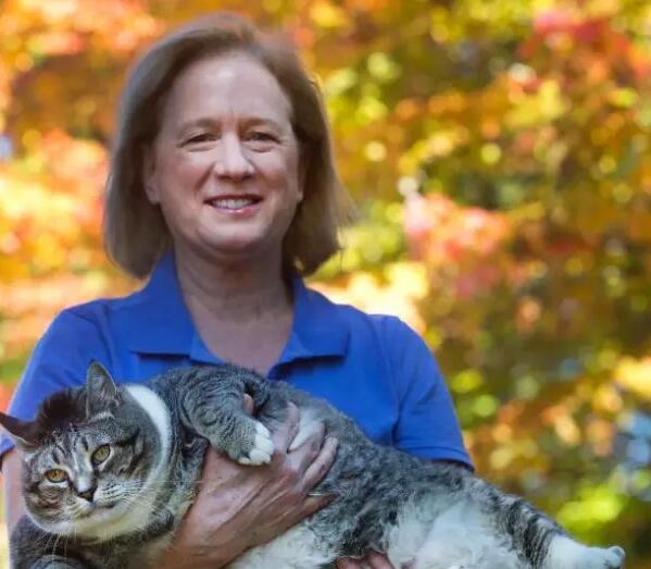 每日晨读国庆节,晨读英语美文新年快乐