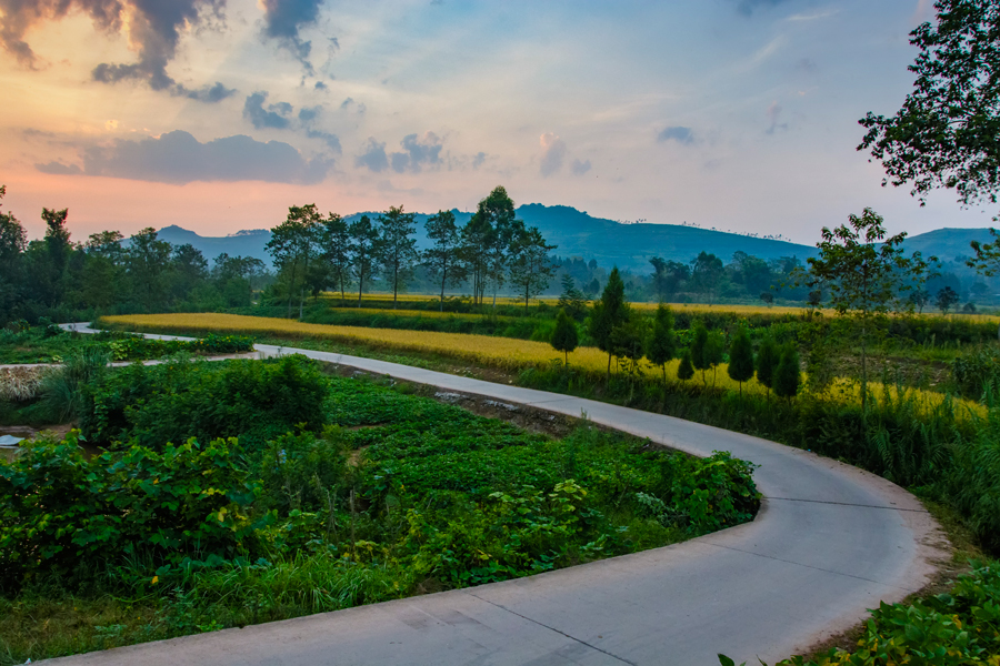 记者自驾采访体验：云南风景好，重庆的路好