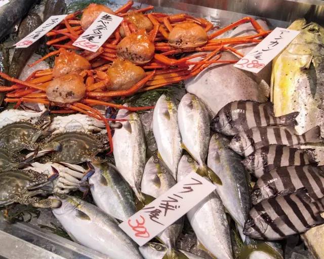 东京筑地市场吃货攻略,筑地日本料理马尼拉