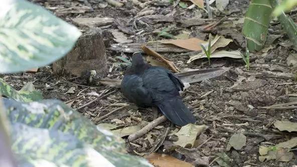 朋友圈发海边泳衣照好不好,朋友圈晒沙滩泳装