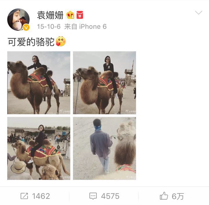 围观大波儿明星扎堆来宁夏,他们都爱晒点啥?