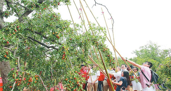 陕北人的外号,陕北人的简称是什么