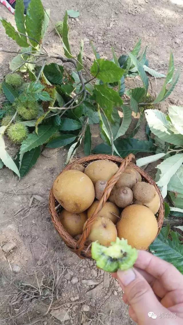 车友风采图片大全,车友的个人风采